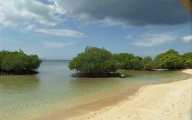 Mangrove Paradise Retreat